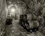 Cave aux alcools 11 
