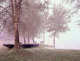 Barques et brume